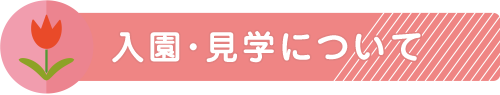 入園・見学について