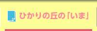 ひかりの丘の「いま」